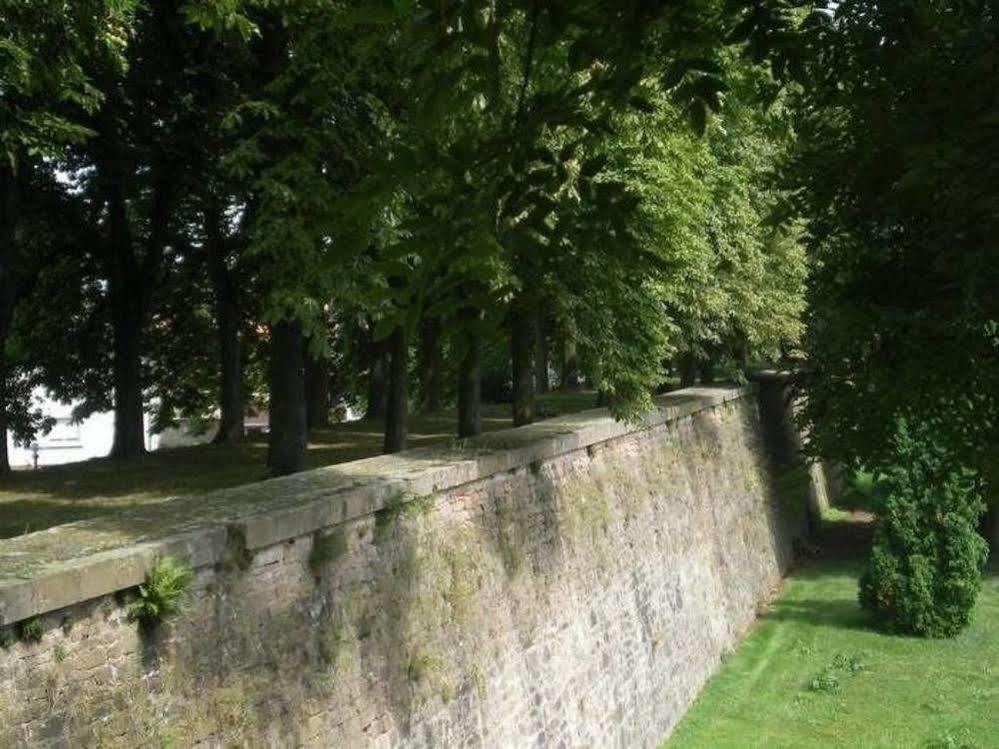 Chambres D'Hotes Le Domaine Des Remparts Sélestat Екстериор снимка